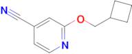 2-(Cyclobutylmethoxy)isonicotinonitrile