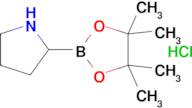 2-(4,4,5,5-Tetramethyl-1,3,2-dioxaborolan-2-yl)pyrrolidine hydrochloride