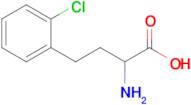 2-Amino-4-(2-chlorophenyl)butanoic acid