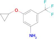 3-Cyclopropoxy-5-(trifluoromethyl)aniline