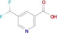5-(Difluoromethyl)nicotinic acid
