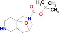 Tert-butyl octahydro-4a,8-epoxypyrido[4,3-c]azepine-6(5H)-carboxylate