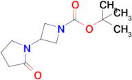 Tert-butyl 3-(2-oxopyrrolidin-1-yl)azetidine-1-carboxylate