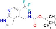 tert-butyl N-{[5-(trifluoromethyl)-1H-pyrrolo[2,3-b]pyridin-4-yl]methyl}carbamate