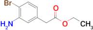 Ethyl 2-(3-amino-4-bromophenyl)acetate