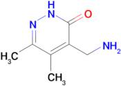 4-(aminomethyl)-5,6-dimethyl-2,3-dihydropyridazin-3-one