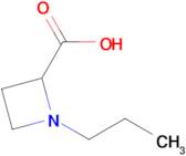 1-Propylazetidine-2-carboxylic acid