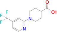 1-(4-(Trifluoromethyl)pyridin-2-yl)piperidine-4-carboxylic acid