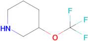 3-(Trifluoromethoxy)piperidine