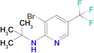 3-Bromo-N-(tert-butyl)-5-(trifluoromethyl)pyridin-2-amine