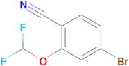 4-Bromo-2-(difluoromethoxy)benzonitrile