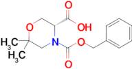 (R)-4-((benzyloxy)carbonyl)-6,6-dimethylmorpholine-3-carboxylic acid