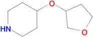 4-((Tetrahydrofuran-3-yl)oxy)piperidine