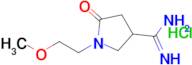 1-(2-Methoxyethyl)-5-oxopyrrolidine-3-carboximidamide hydrochloride