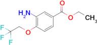 Ethyl 3-amino-4-(2,2,2-trifluoroethoxy)benzoate