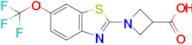 1-(6-(Trifluoromethoxy)benzo[d]thiazol-2-yl)azetidine-3-carboxylic acid