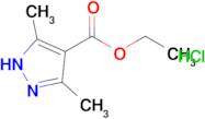 Ethyl 3,5-dimethyl-1H-pyrazole-4-carboxylate hydrochloride