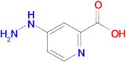 4-Hydrazinylpicolinic acid