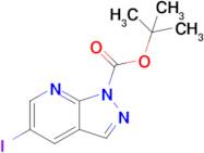 Tert-butyl 5-iodo-1H-pyrazolo[3,4-b]pyridine-1-carboxylate