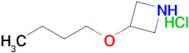 3-Butoxyazetidine hydrochloride