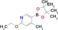 2-Ethoxy-4-methyl-5-(4,4,5,5-tetramethyl-1,3,2-dioxaborolan-2-yl)pyridine