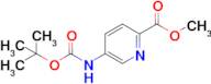 Methyl 5-((tert-butoxycarbonyl)amino)picolinate
