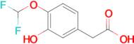 2-(4-(Difluoromethoxy)-3-hydroxyphenyl)acetic acid