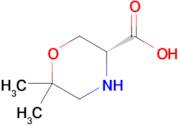 (R)-6,6-dimethylmorpholine-3-carboxylic acid