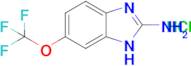 6-(trifluoromethoxy)-1H-1,3-benzodiazol-2-amine hydrochloride