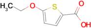 5-Ethoxythiophene-2-carboxylic acid