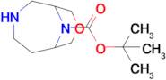 Tert-butyl 8-oxa-3,10-diazabicyclo[4.3.1]Decane-10-carboxylate