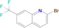 2-Bromo-7-(trifluoromethyl)quinoline