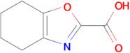 4,5,6,7-Tetrahydrobenzo[d]oxazole-2-carboxylic acid