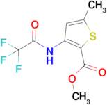 Methyl 5-methyl-3-(2,2,2-trifluoroacetamido)thiophene-2-carboxylate