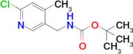 Tert-butyl ((6-chloro-4-methylpyridin-3-yl)methyl)carbamate