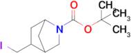 Tert-butyl 5-(iodomethyl)-2-azabicyclo[2.2.1]Heptane-2-carboxylate