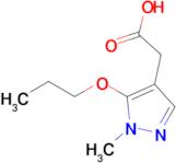 2-(1-Methyl-5-propoxy-1H-pyrazol-4-yl)acetic acid