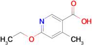 6-Ethoxy-4-methylnicotinic acid