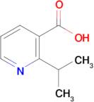 2-Isopropylnicotinic acid