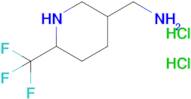 (6-(Trifluoromethyl)piperidin-3-yl)methanamine dihydrochloride