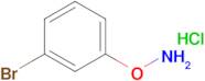 O-(3-bromophenyl)hydroxylamine hydrochloride