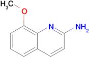 8-Methoxyquinolin-2-amine