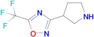 3-(Pyrrolidin-3-yl)-5-(trifluoromethyl)-1,2,4-oxadiazole