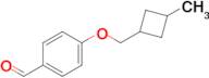 4-((3-Methylcyclobutyl)methoxy)benzaldehyde