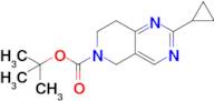 Tert-butyl 2-cyclopropyl-7,8-dihydropyrido[4,3-d]pyrimidine-6(5H)-carboxylate