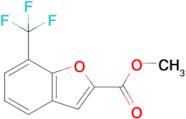 Methyl 7-(trifluoromethyl)benzofuran-2-carboxylate