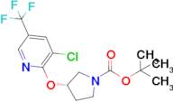 Tert-butyl (S)-3-((3-chloro-5-(trifluoromethyl)pyridin-2-yl)oxy)pyrrolidine-1-carboxylate