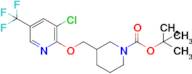 Tert-butyl 3-(((3-chloro-5-(trifluoromethyl)pyridin-2-yl)oxy)methyl)piperidine-1-carboxylate