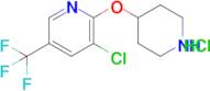 3-Chloro-2-(piperidin-4-yloxy)-5-(trifluoromethyl)pyridine hydrochloride