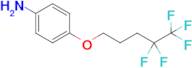 4-((4,4,5,5,5-Pentafluoropentyl)oxy)aniline